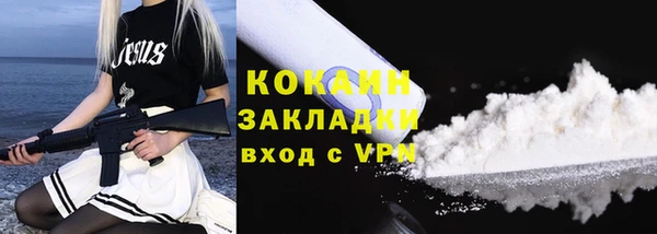 МДПВ Протвино