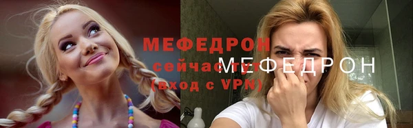МДПВ Протвино