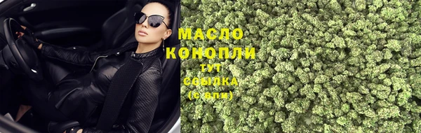 МДПВ Протвино