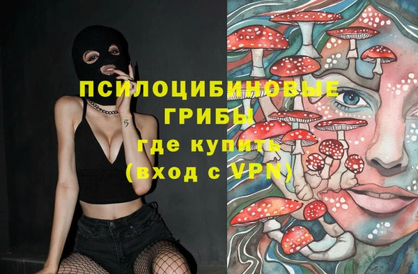 МДПВ Протвино