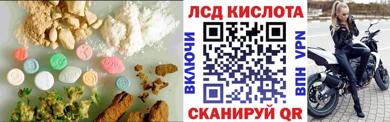 где купить   darknet состав  ЛСД экстази ecstasy  Санкт-Петербург 
