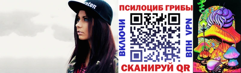 Псилоцибиновые грибы мухоморы  купить наркоту  дарк нет формула  Санкт-Петербург 