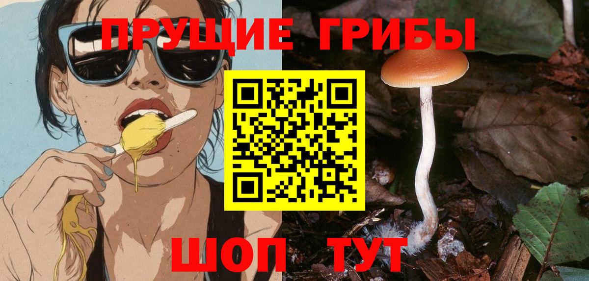 Псилоцибиновые грибы мухоморы Санкт-Петербург