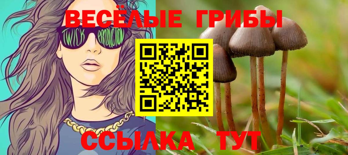 Галлюциногенные грибы мицелий  Вход с VPN  сколько стоит  Санкт-Петербург 